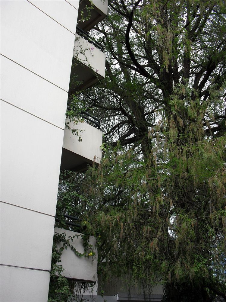 Hotel Residencia Del Sol Guatemala City Exterior foto